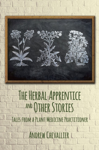 Cover image for 9781801521000 - The Herbal Apprentice and Other Stories