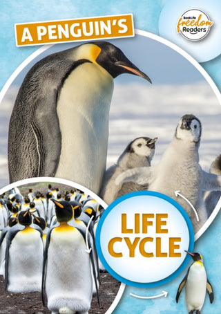 Cover image for 9781801551359 - A Penguin's Life Cycle