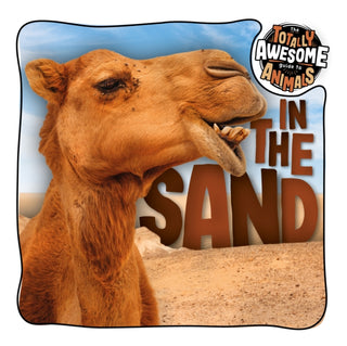 Cover image for 9781801556507 - In the Sand