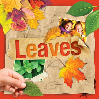 Cover image for 9781801559294 - Leaves