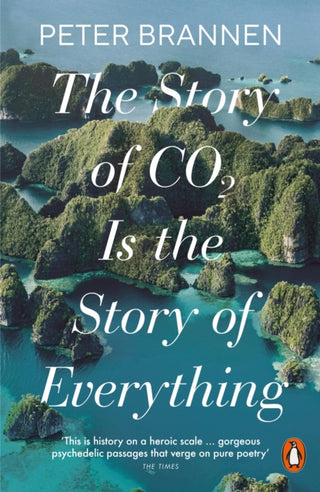 Cover image for 9781802062328 - The Story of CO2 Is the Story of Everything