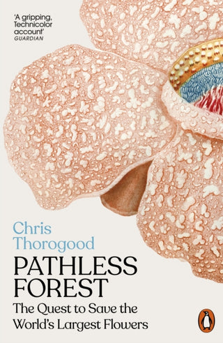 Supplemental image for 9781802062427 - Pathless Forest