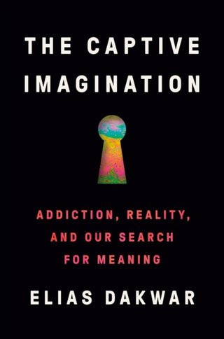 Cover image for 9781802063769 - The Captive Imagination