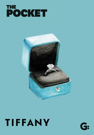Cover image for 9781802473483 - The Pocket Tiffany
