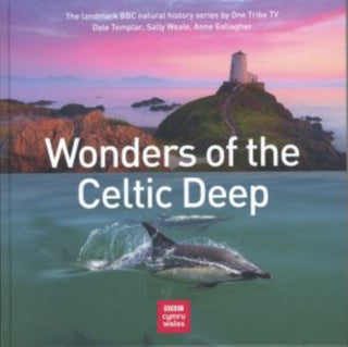 Cover image for 9781802580075 - Wonders of the Celtic Deep