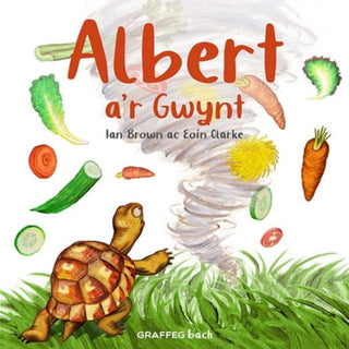 Cover image for 9781802580112 - Albert a'r Gwynt