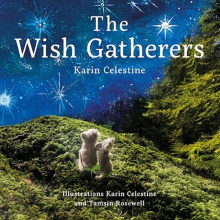 Cover image for 9781802581874 - The Wish Gatherers
