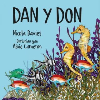 Cover image for 9781802582055 - Dan y Don