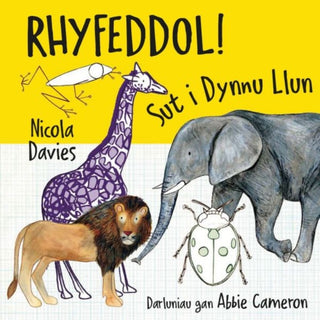 Supplemental image for 9781802582086 - Rhyfeddol! Sut i Dynnu Llun