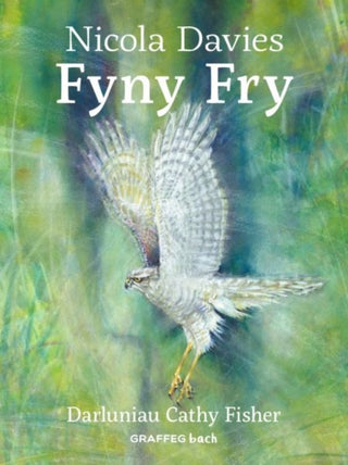 Cover image for 9781802583649 - Fyny Fry
