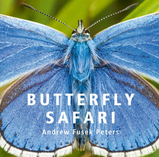 Cover image for 9781802583700 - Butterfly Safari
