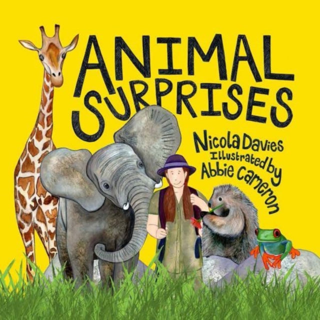 Cover image for 9781802584028 - Animal Surprises