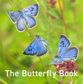 Supplemental image for 9781802586541 - Nature Book Series: The Butterfly Book