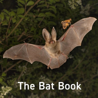 Cover image for 9781802587470 - The Bat Book