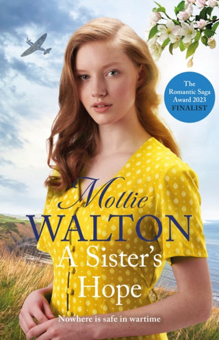 Supplemental image for 9781802793086 - A Sister's Hope