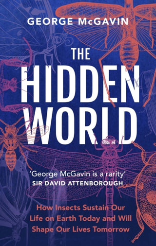 Cover image for 9781802794946 - The Hidden World