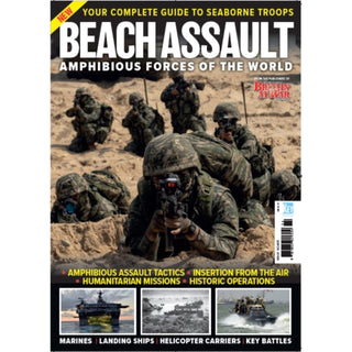 Supplemental image for 9781802829334 - Beach Assault
