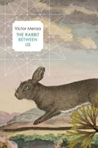 Cover image for 9781803091983 - The Rabbit Between Us