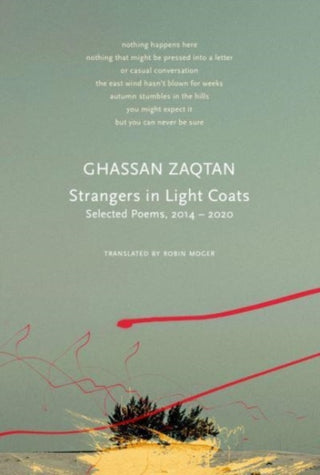 Cover image for 9781803092386 - Strangers in Light Coats – Selected Poems, 2014–2020