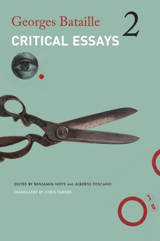Cover image for 9781803094342 - Critical Essays