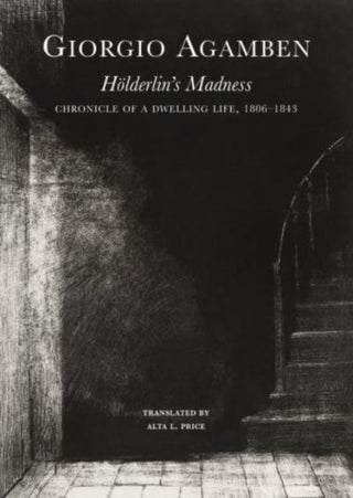 Cover image for 9781803094427 - Holderlin’s Madness