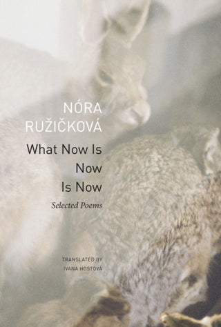 Cover image for 9781803095653 - What Now Is Now Is Now