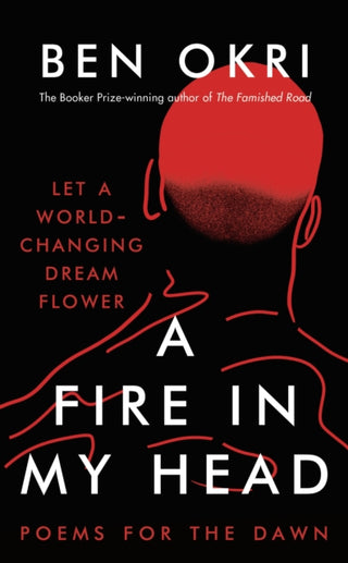 Cover image for 9781803281285 - A Fire in My Head