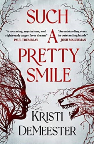 Cover image for 9781803362465 - Such a Pretty Smile