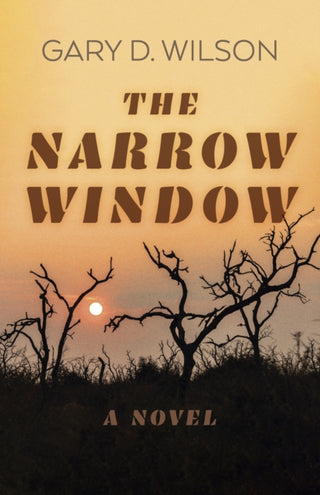 Cover image for 9781803414621 - Narrow Window, The – A Novel