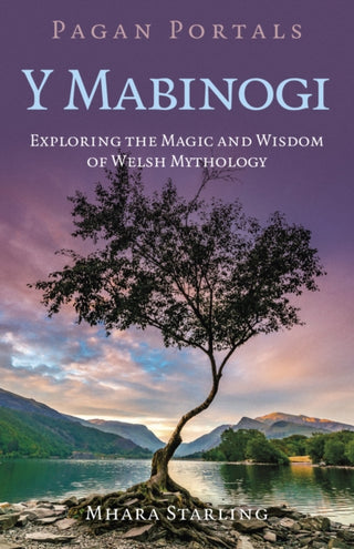 Cover image for 9781803416649 - Pagan Portals  Y Mabinogi