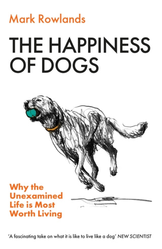 Cover image for 9781803510330 - The Happiness of Dogs
