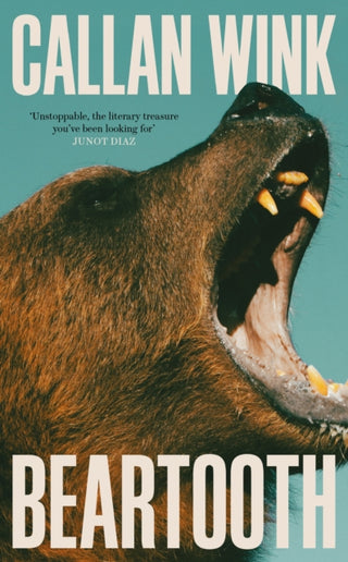 Cover image for 9781803510965 - Beartooth