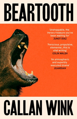 Cover image for 9781803510989 - Beartooth