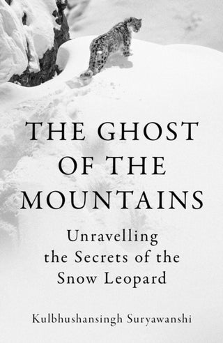 Cover image for 9781803511849 - The Ghost of the Mountains
