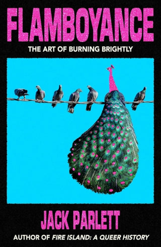 Cover image for 9781803511931 - Flamboyance