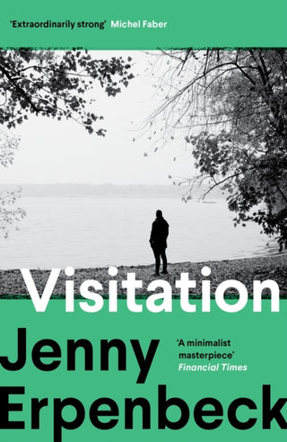 Cover image for 9781803512518 - Visitation