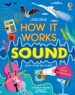 Supplemental image for 9781803704302 - How It Works: Sound