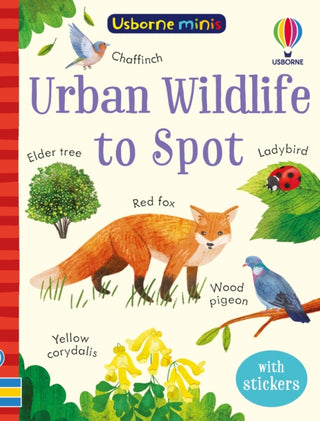 Cover image for 9781803704746 - Urban Wildlife to Spot