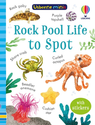 Cover image for 9781803704753 - Rock Pool Life to Spot