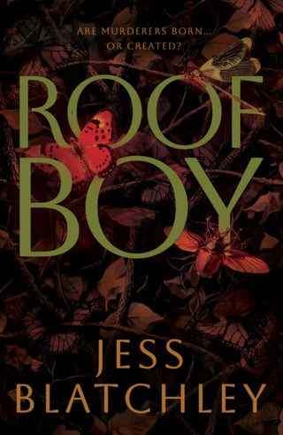 Cover image for 9781803783840 - Roofboy