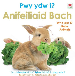 Cover image for 9781804164327 - Pwy Ydw i? Anifeiliaid Bach / Who Am I? Baby Animals