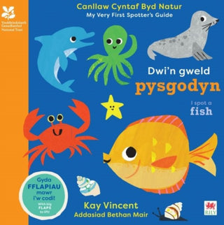Cover image for 9781804164518 - Dwi'n Gweld Pysgodyn / I Spot a Fish