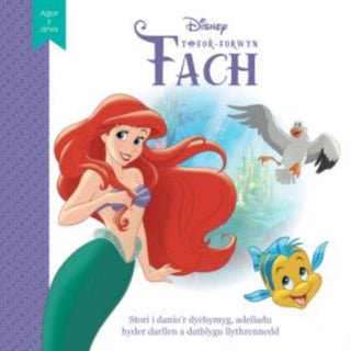 Cover image for 9781804164921 - Disney Agor y Drws: Y Fôr-forwyn Fach
