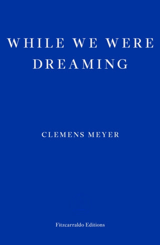 Cover image for 9781804270288 - While We Were Dreaming