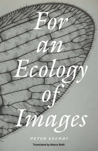 Supplemental image for 9781804294314 - For an Ecology of Images