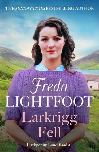 Cover image for 9781804363508 - Larkrigg Fell