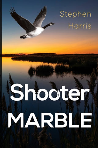 Cover image for 9781804392416 - Shooter Marble