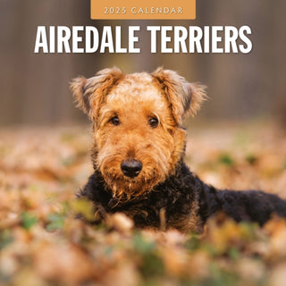 Cover image for 9781804424162 - Airedale Terriers 2025 Square Wall Calendar