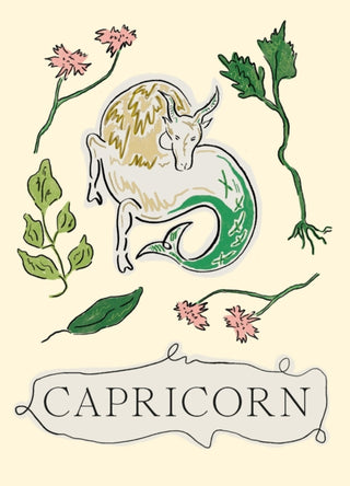 Supplemental image for 9781804530023 - Capricorn
