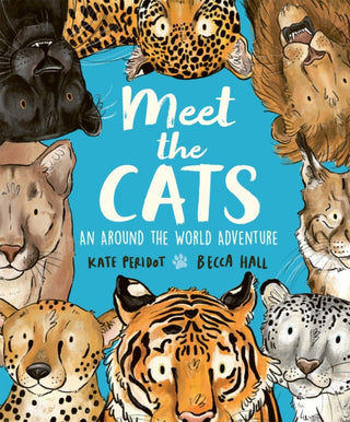 Cover image for 9781804538296 - Meet the Cats